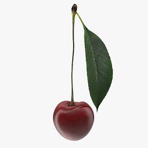 Cherry with Leaf