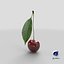 cherry leaf 3D model