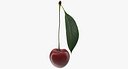 Cherry with Leaf