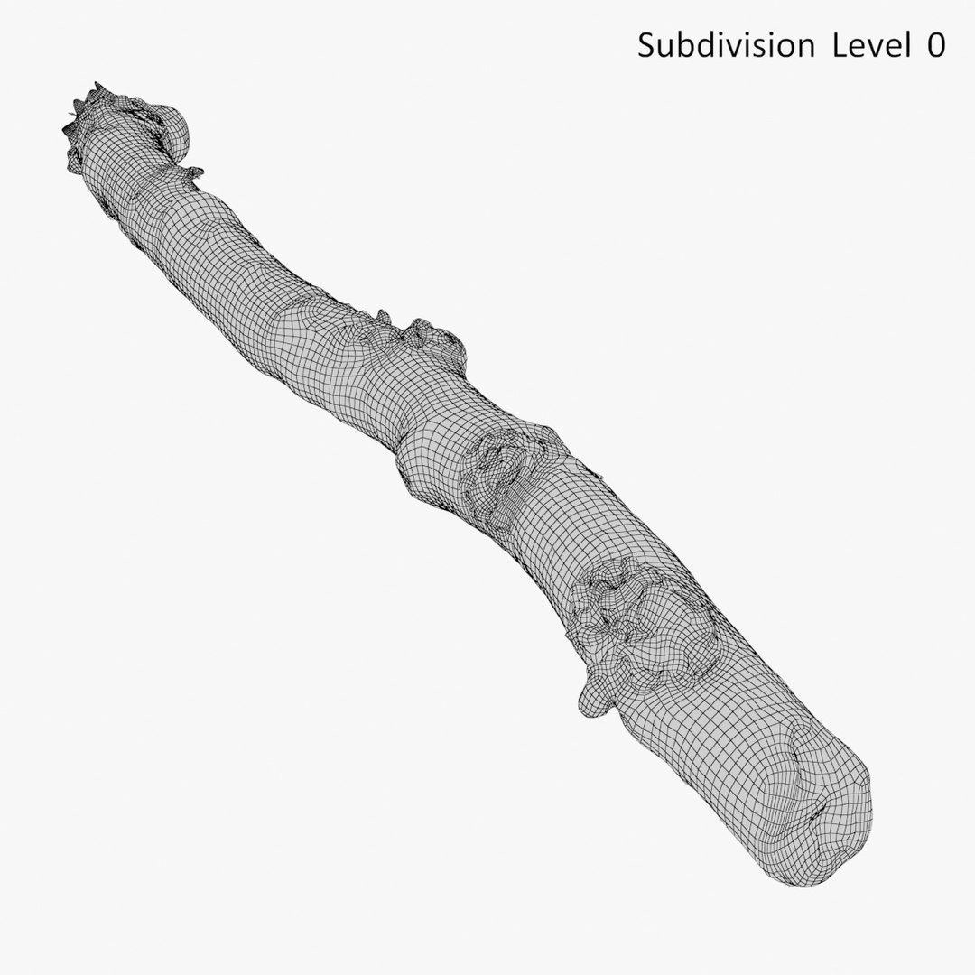 3D Realistic Branch 01 Model - TurboSquid 1217343