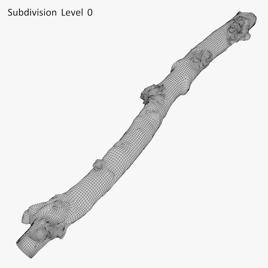 3D Realistic Branch 01 Model - TurboSquid 1217343