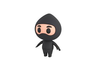 3D ninja character