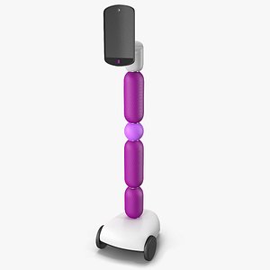Virtual Presence Robot