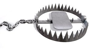 Metal Animal Trap