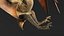 pteranodon rig animation model