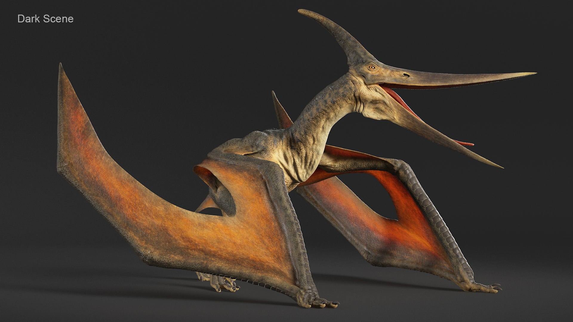 pteranodon rig animation model https://p.turbosquid.com/ts-thumb/A7/nFjuK5/HvqfjSQ6/shot_p001/jpg/1569852730/1920x1080/fit_q87/dba6b1cb3b767d510fa9bea85ddcfe813897c810/shot_p001.jpg