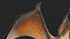 pteranodon rig animation model