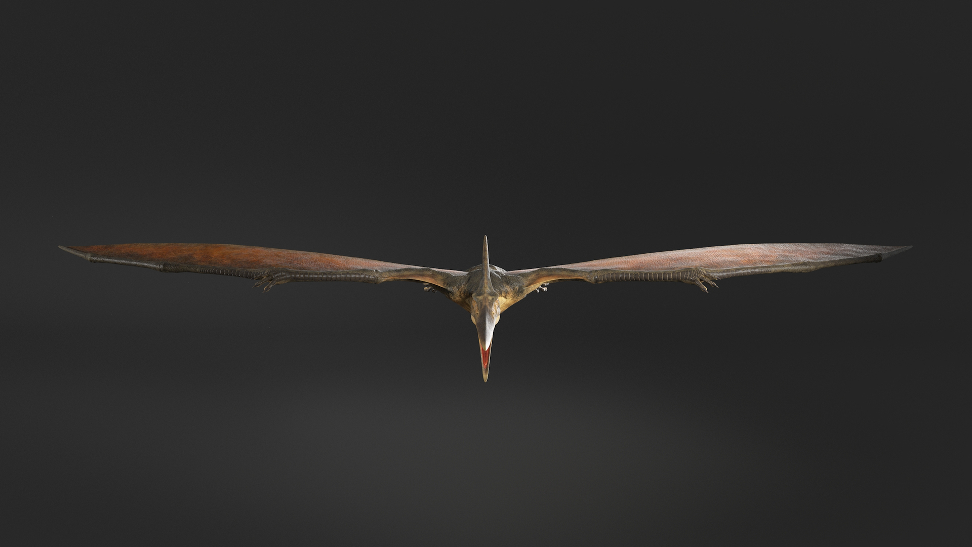 Pteranodon pterosaur white rigged 3D - TurboSquid 1479528