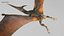 pteranodon rig animation model
