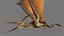 pteranodon rig animation model