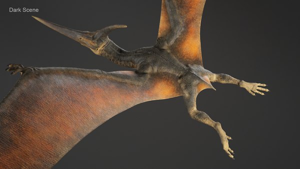 Pteranodon rig animation model - TurboSquid 1453953