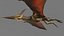pteranodon rig animation model