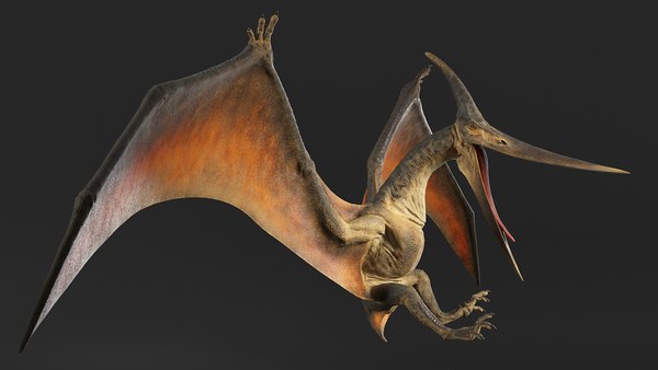 Pteranodon rig animation model - TurboSquid 1453953