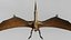 pteranodon rig animation model