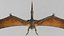 pteranodon rig animation model