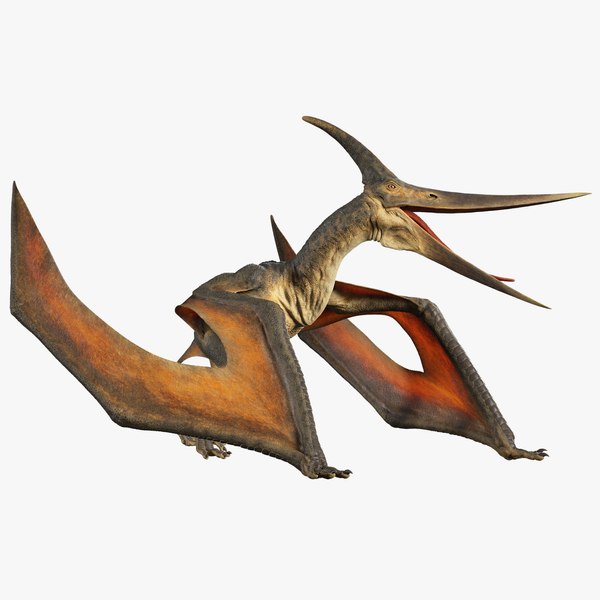 Pteranodon rig animation model - TurboSquid 1453953