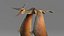 pteranodon rig animation model