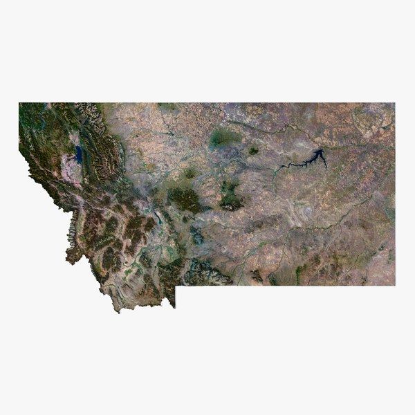 Modelo 3d Montana State Terrain Map Turbosquid 2084896