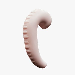 3D Early fetal Development Human embryonic