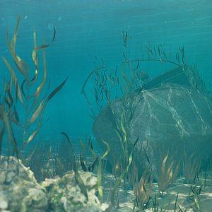 underwater shipwreck scene model