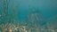 Shipwreck Scene