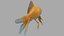 Goldfish 3D model