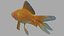 Goldfish 3D model