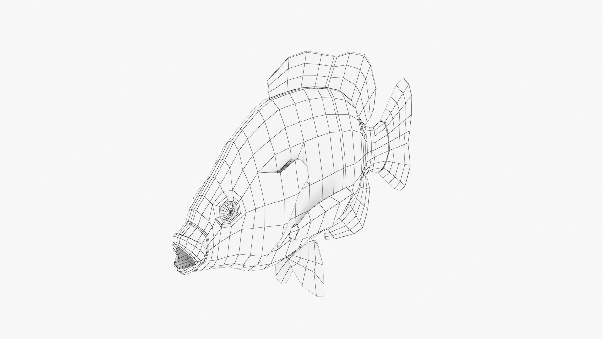 Green Sunfish 3D Model - TurboSquid 2074614