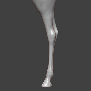 Giraffe Rear Leg Highpoly Sculpt 3D model