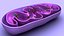 Mitochondria