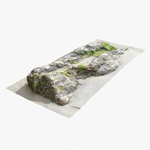 Rock 3D Scan 11 3D