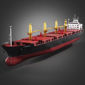 Bulk carrier ship