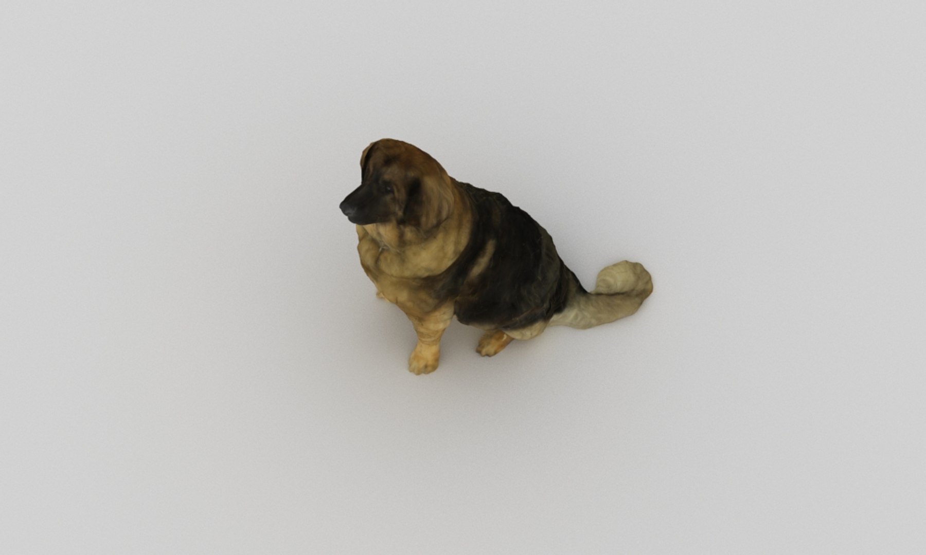 3D scanned saint bernard model https://p.turbosquid.com/ts-thumb/A8/o4QBkY/E7DL4g8a/bernard_0004/jpg/1582195584/1920x1080/fit_q87/7c2cecf6ffbfe865d23999c48607f24f0717c7d4/bernard_0004.jpg