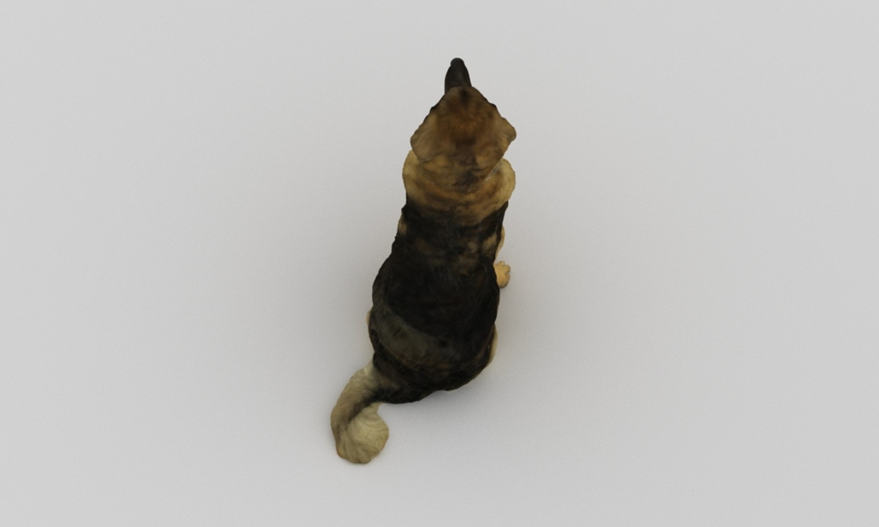 3D scanned saint bernard model https://p.turbosquid.com/ts-thumb/A8/o4QBkY/Jk6kEXhK/bernard_0008/jpg/1582195584/1920x1080/fit_q87/cdaa137ff8363ec03efd4031a2c45c44e1c2a27c/bernard_0008.jpg