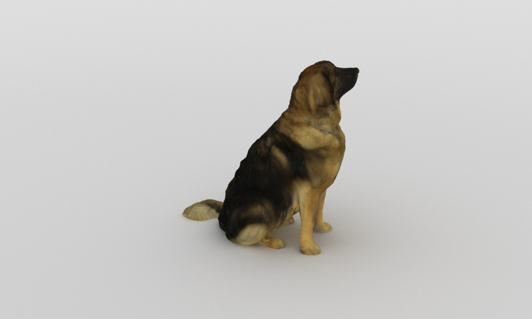 3D scanned saint bernard model https://p.turbosquid.com/ts-thumb/A8/o4QBkY/LUSsB1hT/bernard_0007/jpg/1582195584/1920x1080/fit_q87/7a30d82a898e97b1e2785a80257e3f75d526679d/bernard_0007.jpg
