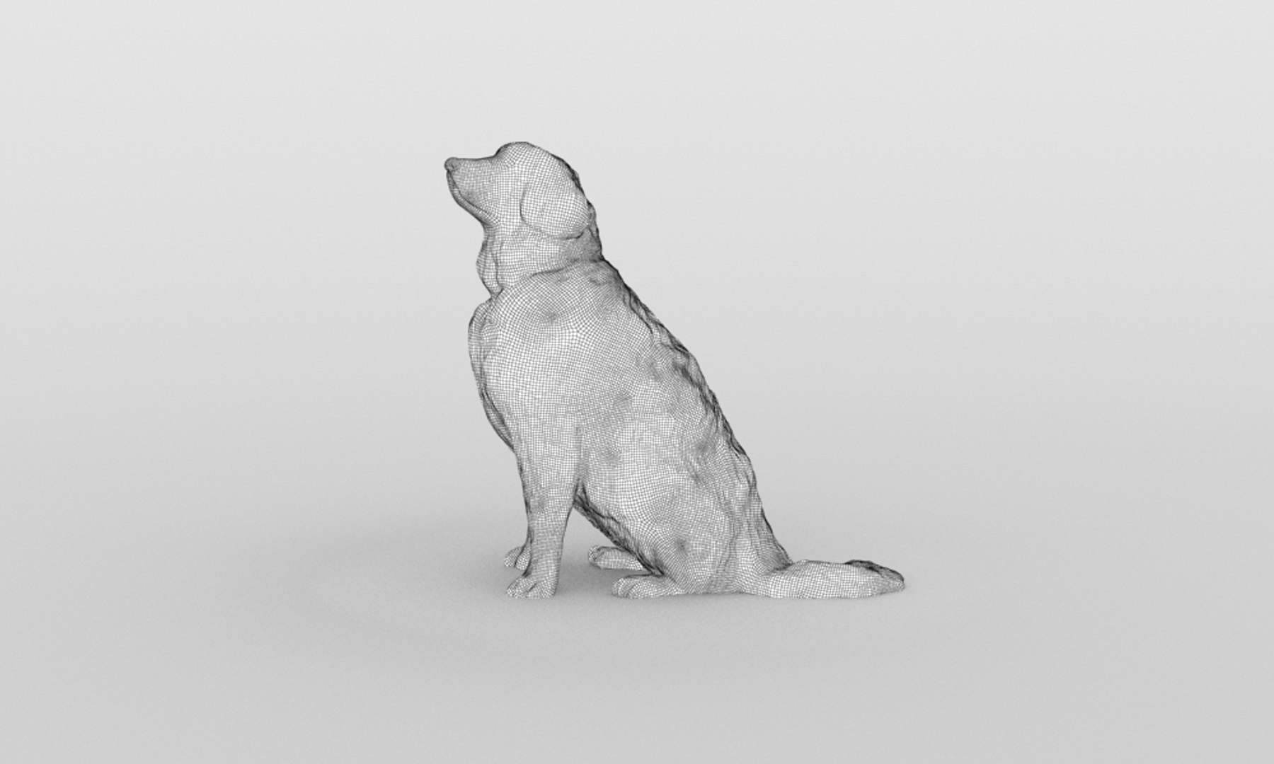 3D scanned saint bernard model https://p.turbosquid.com/ts-thumb/A8/o4QBkY/NxIb5BlV/wire/jpg/1582195584/1920x1080/fit_q87/0695dc69d6d25d4d39317ba70da0cd5fa1932c62/wire.jpg
