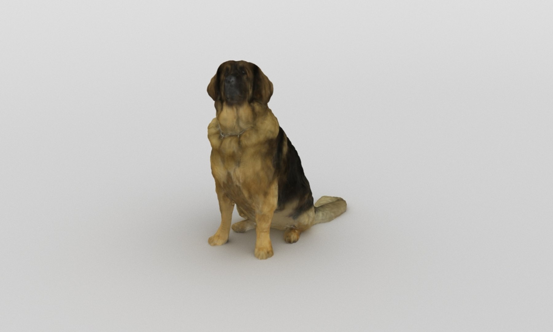3D scanned saint bernard model https://p.turbosquid.com/ts-thumb/A8/o4QBkY/XG3zBWxi/bernard_0001/jpg/1582195584/1920x1080/fit_q87/dbb453739f68cc45ff82bfd4bfcefde8e5822308/bernard_0001.jpg