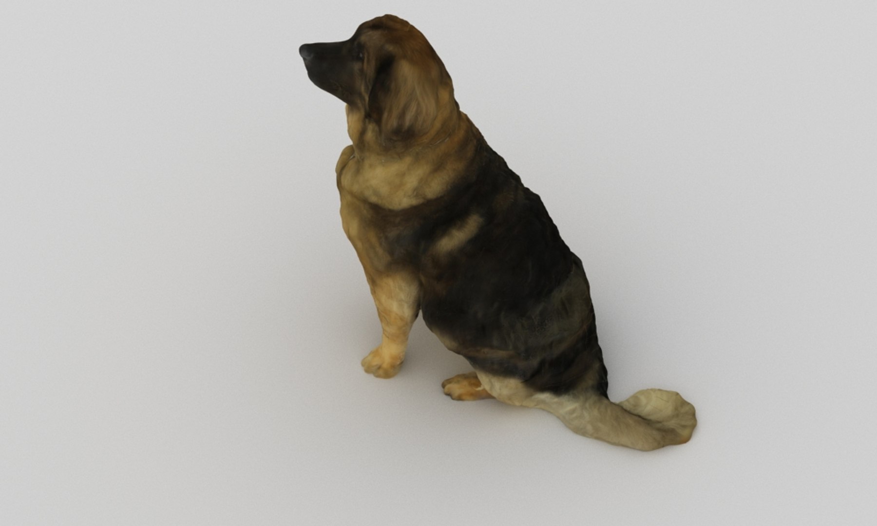 3D scanned saint bernard model https://p.turbosquid.com/ts-thumb/A8/o4QBkY/iyuxafuw/bernard_0003/jpg/1582195584/1920x1080/fit_q87/30b4f718b0dc1f2169b38942f3a75e1dcd64d2e7/bernard_0003.jpg