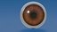 Stylized eye collection of 10 eyes