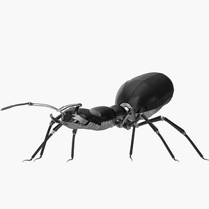 Black robot ant