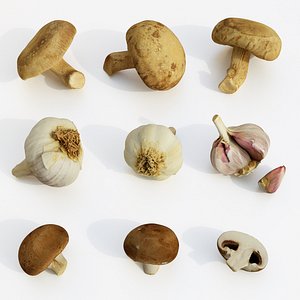 shiitake mushrooms garlics 3D
