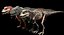 Giganotosaurus Tyranosaurus Anatomy 3D