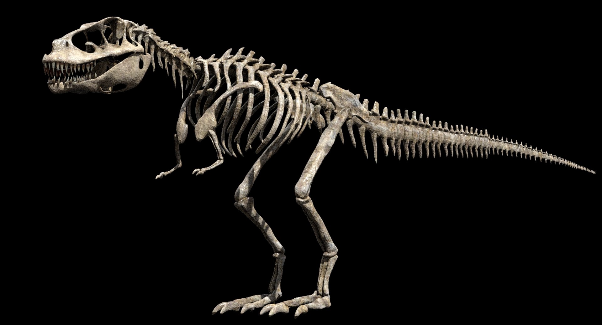 giganoto giganotosaurus saurus 3D model https://p.turbosquid.com/ts-thumb/A9/aAmL3s/dG5puGEY/04/jpg/1552386864/1920x1080/fit_q87/152179853685eac0628d2e4498c4230202b6d7ad/04.jpg