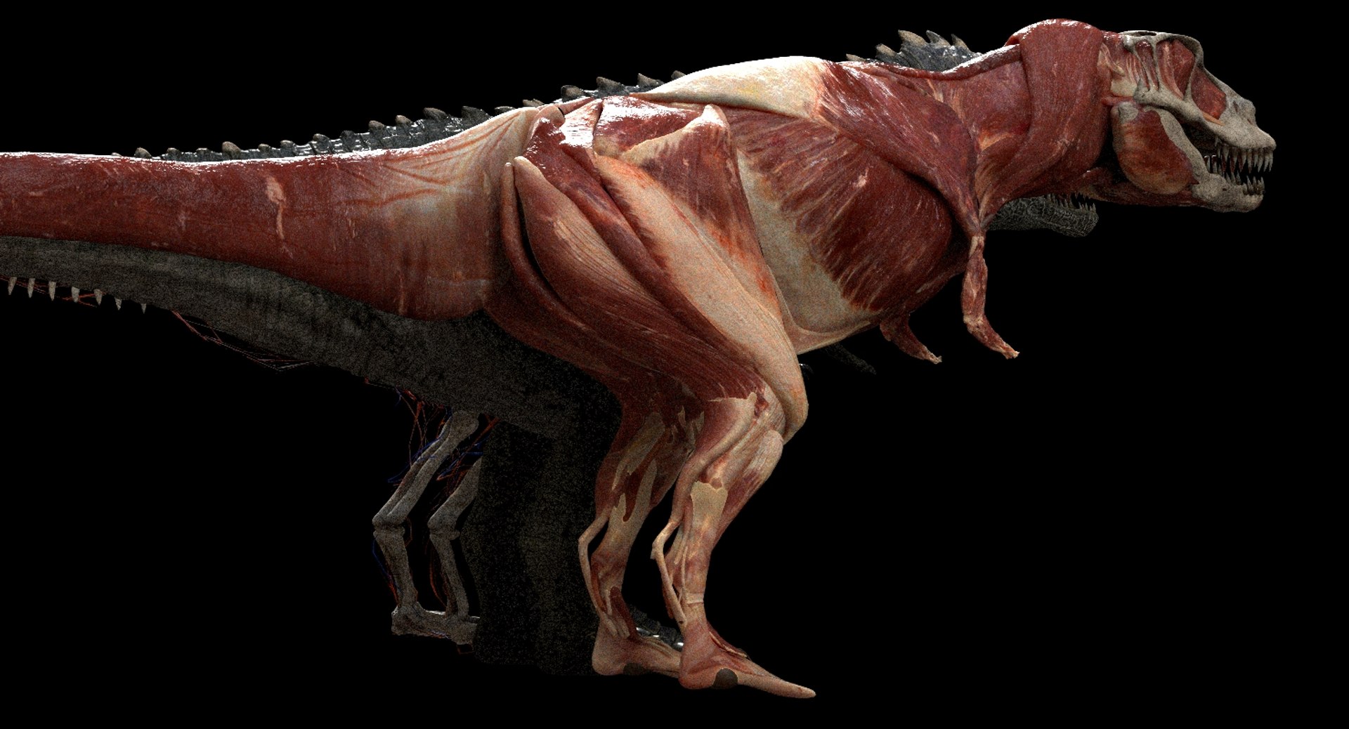 giganoto giganotosaurus saurus 3D model https://p.turbosquid.com/ts-thumb/A9/aAmL3s/nfGZXWue/25/jpg/1552386865/1920x1080/fit_q87/12044b0683890d593e81e0a7c7346b300f7ede7b/25.jpg