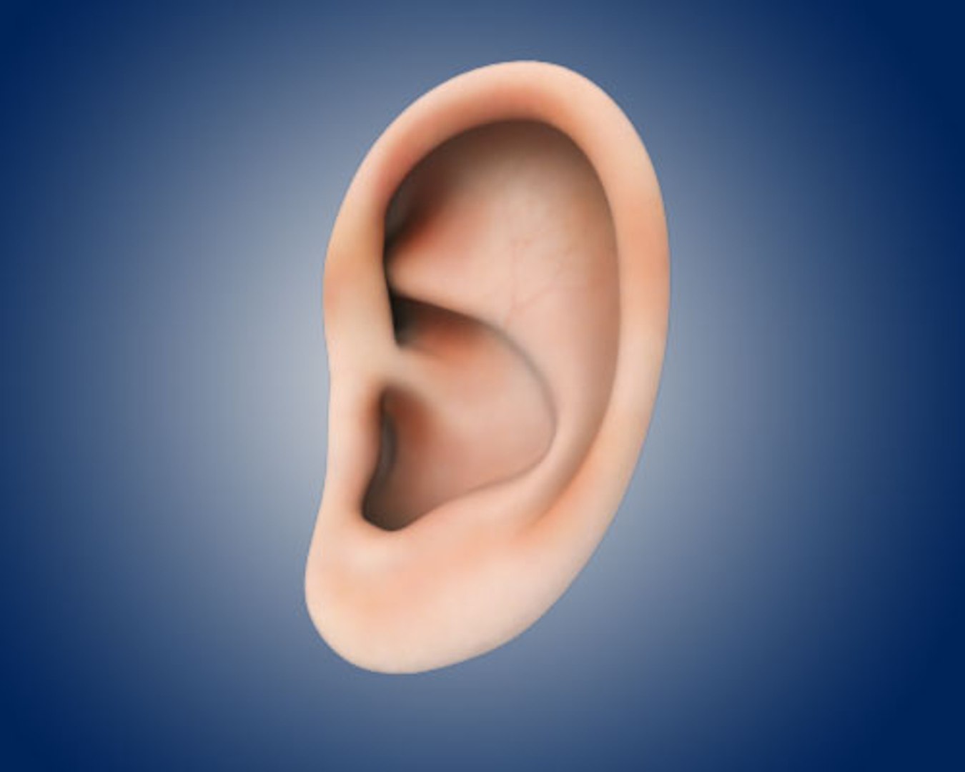 realistic ear 3ds https://p.turbosquid.com/ts-thumb/A9/hGOYa6/RpTwtXWc/ear02/jpg/1265068246/1920x1080/fit_q87/48fa9d25f6cf3871a4d0e942162682036926f228/ear02.jpg