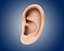 ear