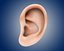 ear