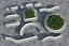 urban elements 3D model