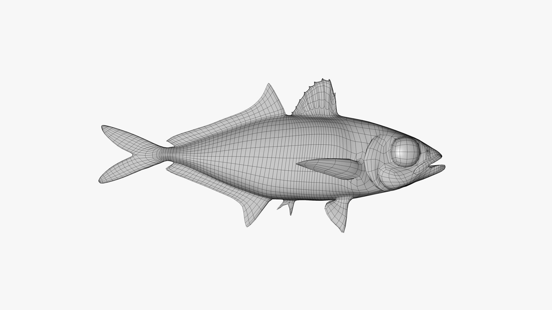 3D Bigeye Scad https://p.turbosquid.com/ts-thumb/A9/rwoUEG/dJ/bigeye_scad_selar_crumenophthalmus_fish_3d_model_by_andreas_piel_wireframe_02/png/1739227753/1920x1080/fit_q87/f13960c744eba2b0e20faf4daac672ce3c30e769/bigeye_scad_selar_crumenophthalmus_fish_3d_model_by_andreas_piel_wireframe_02.jpg