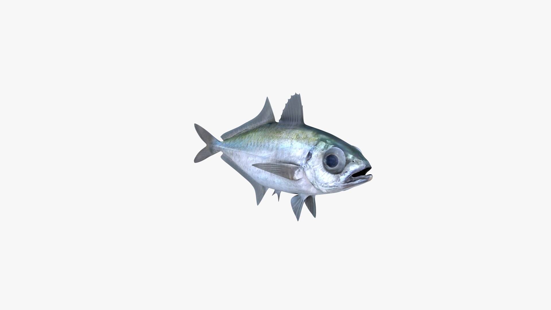 3D Bigeye Scad https://p.turbosquid.com/ts-thumb/A9/rwoUEG/jz/bigeye_scad_selar_crumenophthalmus_fish_3d_model_by_andreas_piel_06/png/1739228070/1920x1080/fit_q87/010e644b56fd6af021559f2d5375bec5063a2933/bigeye_scad_selar_crumenophthalmus_fish_3d_model_by_andreas_piel_06.jpg
